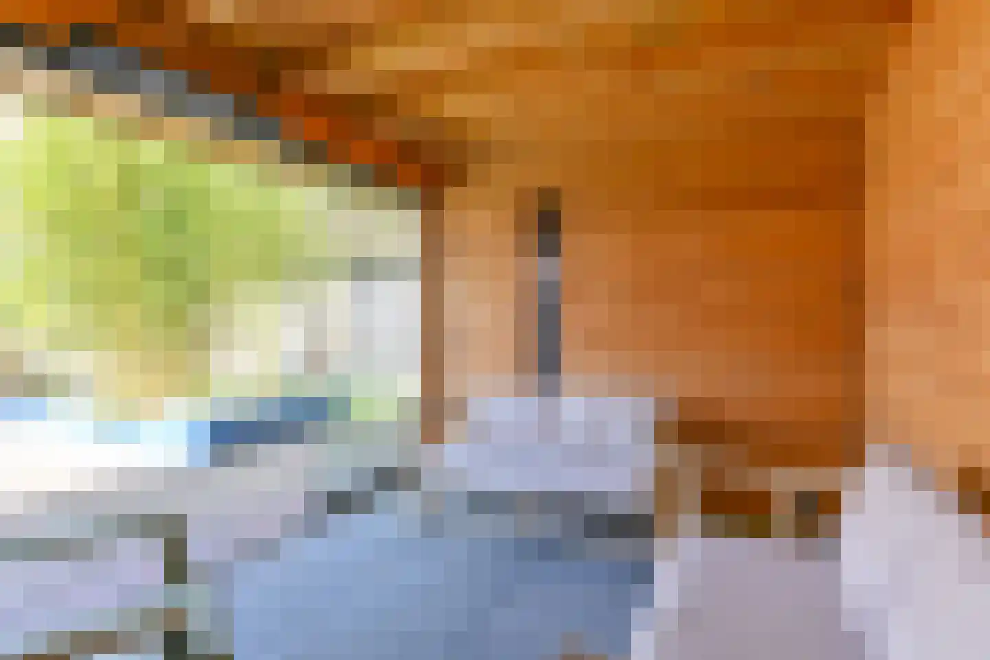 Amethistdreef 26 Emmen thumbnail 89