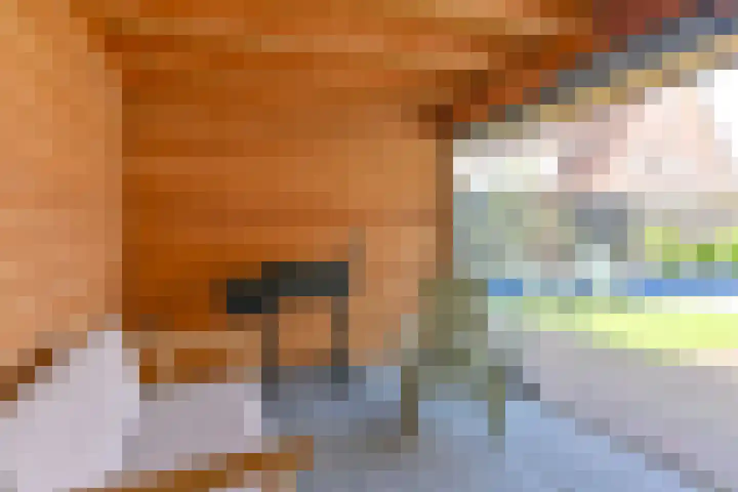 Amethistdreef 26 Emmen thumbnail 91