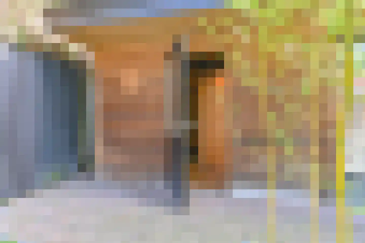 Amethistdreef 26 Emmen thumbnail 94