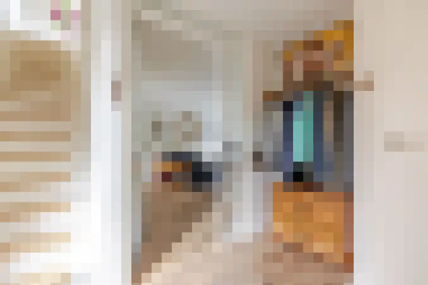 Amethistdreef 38 Emmen thumbnail 16