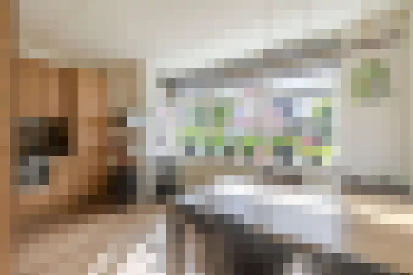 Amethistdreef 38 Emmen thumbnail 25