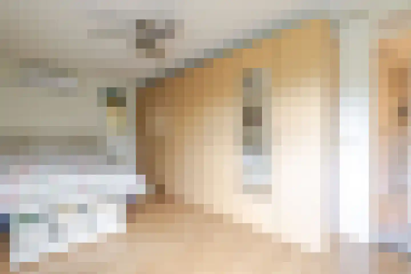 Amethistdreef 38 Emmen thumbnail 28