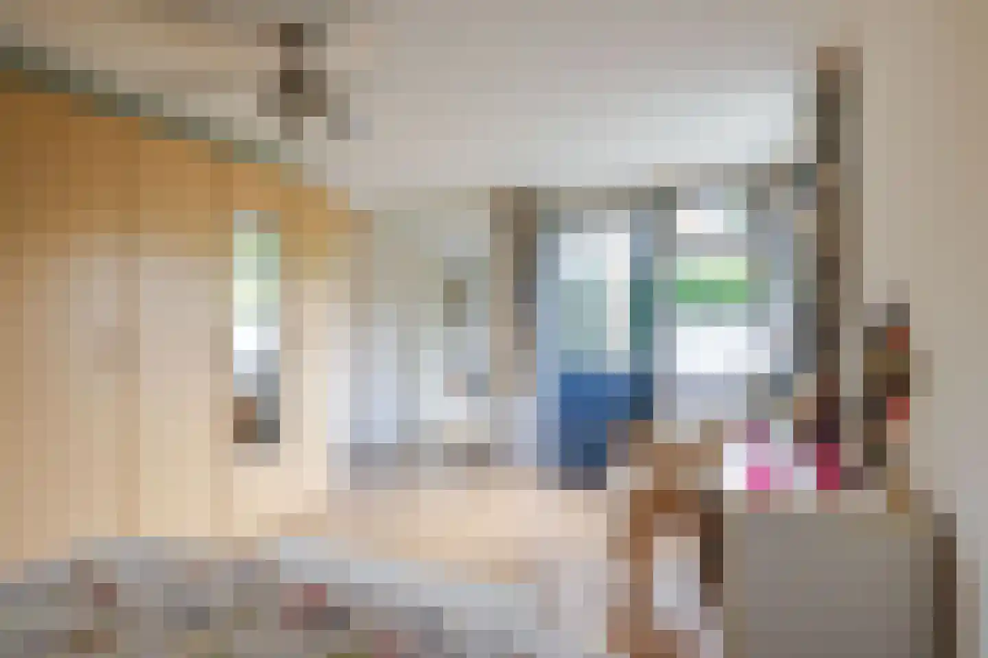 Amethistdreef 38 Emmen thumbnail 29