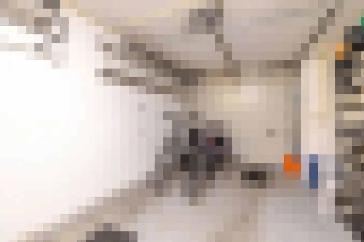 Amethistdreef 38 Emmen thumbnail 33