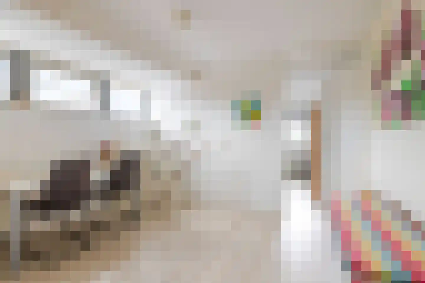 Amethistdreef 38 Emmen thumbnail 35