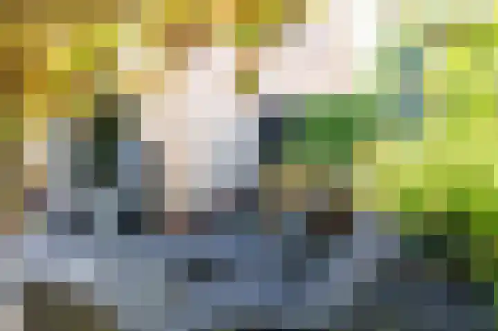 Amethistdreef 4 Emmen thumbnail 26