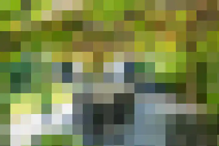 Amethistdreef 4 Emmen thumbnail 28