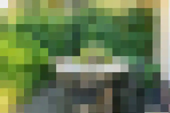 Amethistdreef 4 Emmen thumbnail 31