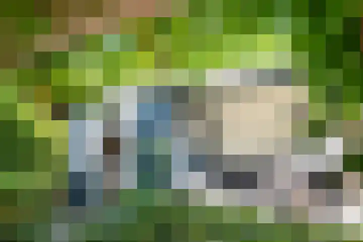 Amethistdreef 4 Emmen thumbnail 33