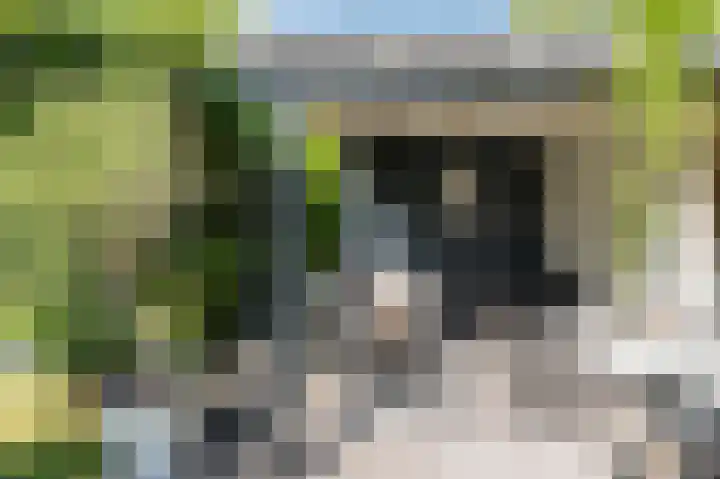 Amethistdreef 4 Emmen thumbnail 34