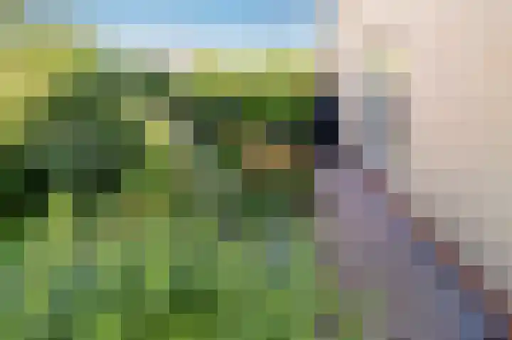 Amethistdreef 4 Emmen thumbnail 35