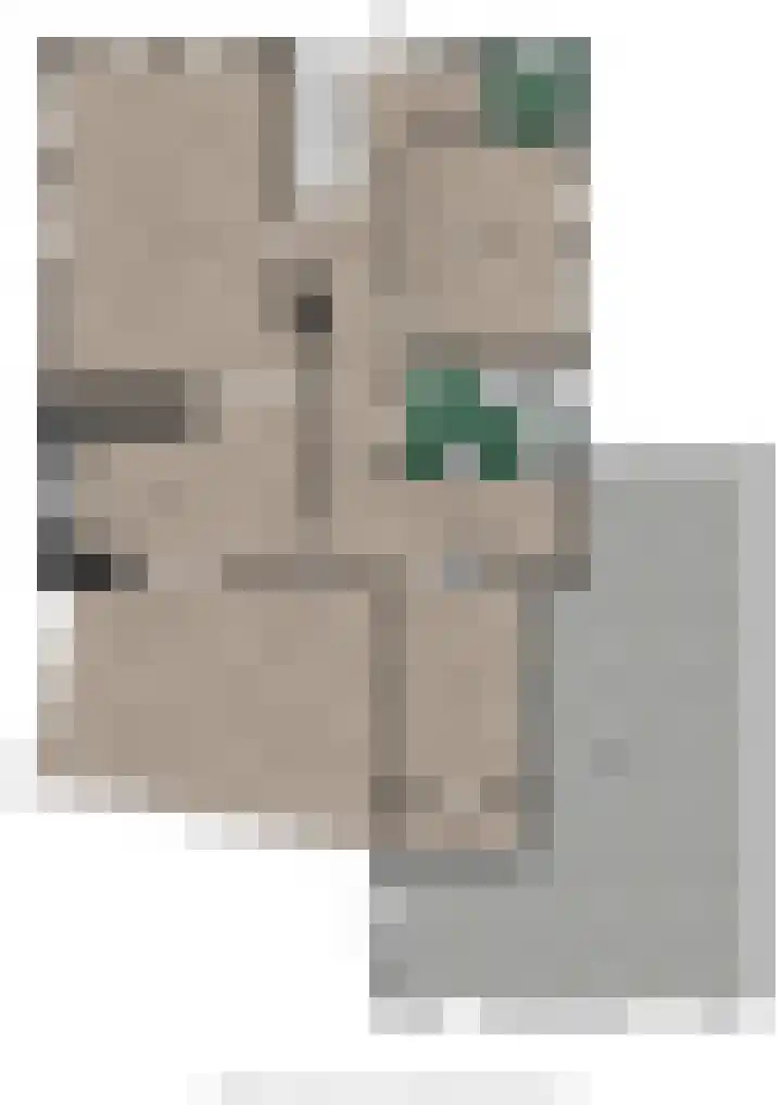 Amethistlaan 6 Veendam thumbnail 13