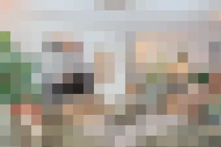 Amethistlaan 6 Veendam thumbnail 21