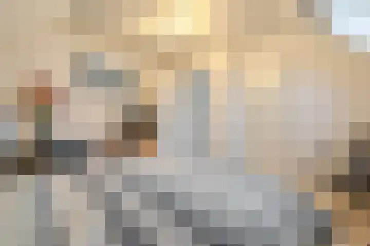Amethistlaan 6 Veendam thumbnail 48