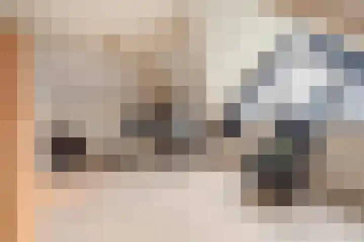 Amethistlaan 6 Veendam thumbnail 50