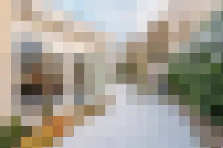 Amethistlaan 6 Veendam thumbnail 59
