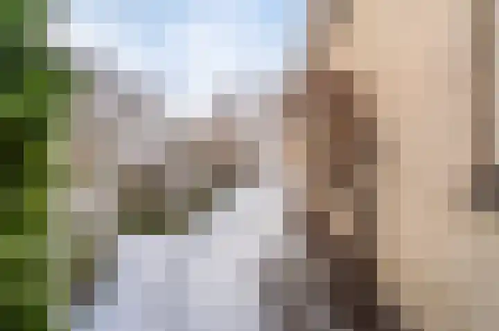 Amethistlaan 6 Veendam thumbnail 61