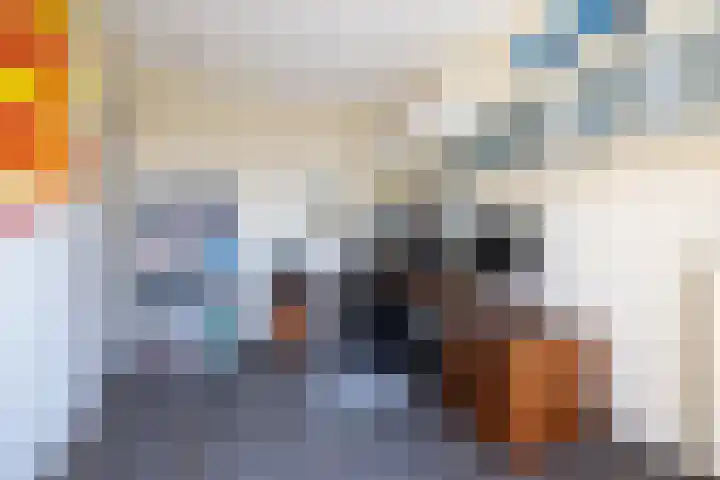 Amethiststraat 11 Rotterdam thumbnail 15