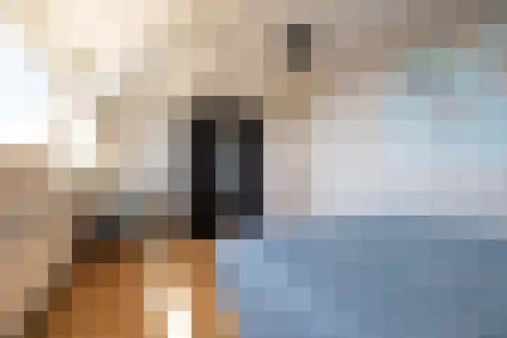 Amethiststraat 11 Rotterdam thumbnail 23