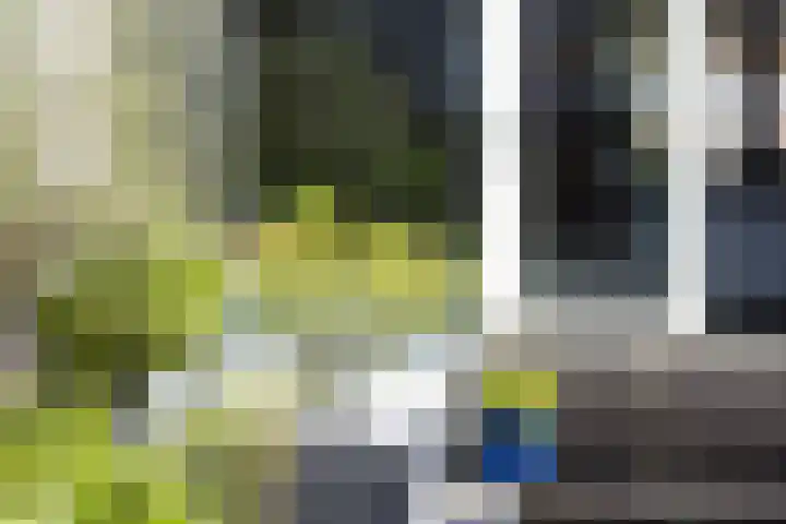 Amethiststraat 11 Rotterdam thumbnail 31