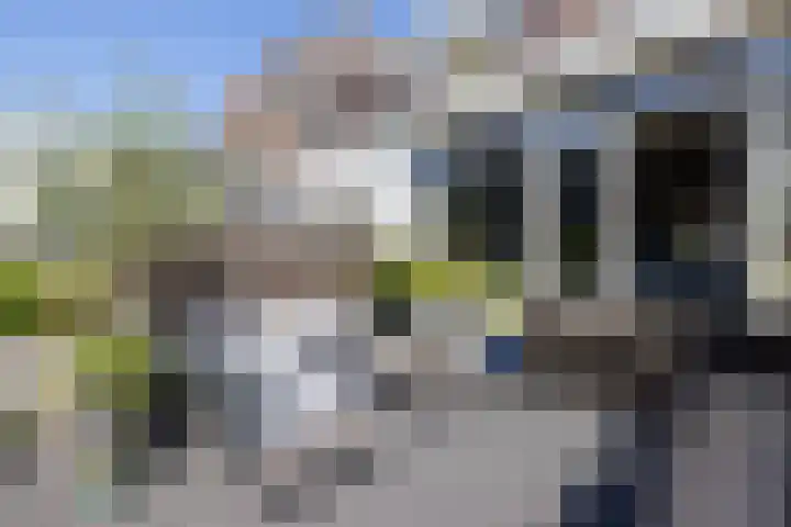 Amethiststraat 11 Rotterdam thumbnail 32