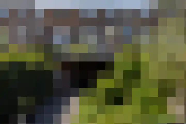 Amethiststraat 11 Rotterdam thumbnail 33