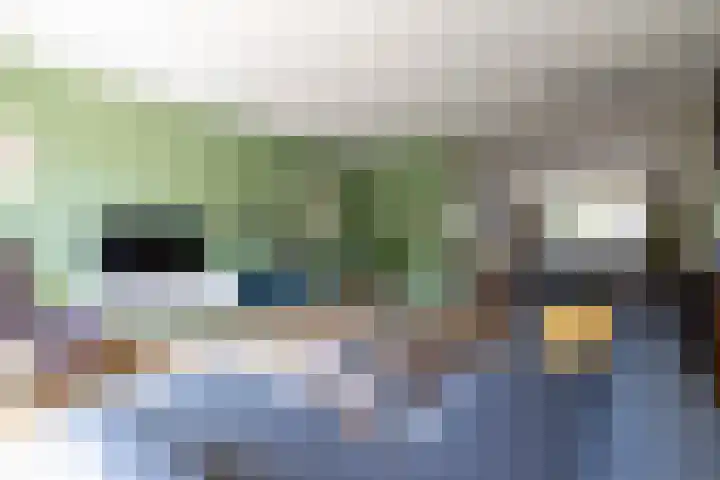 Amethiststraat 11 Rotterdam thumbnail 44