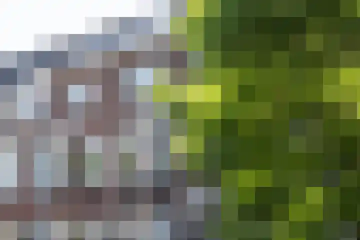 Amethiststraat 11 Rotterdam thumbnail 6
