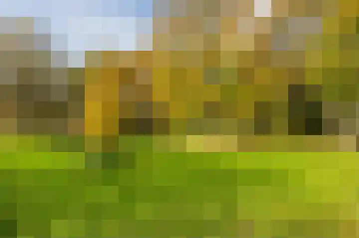 Amethiststraat 26 A Rotterdam thumbnail 34