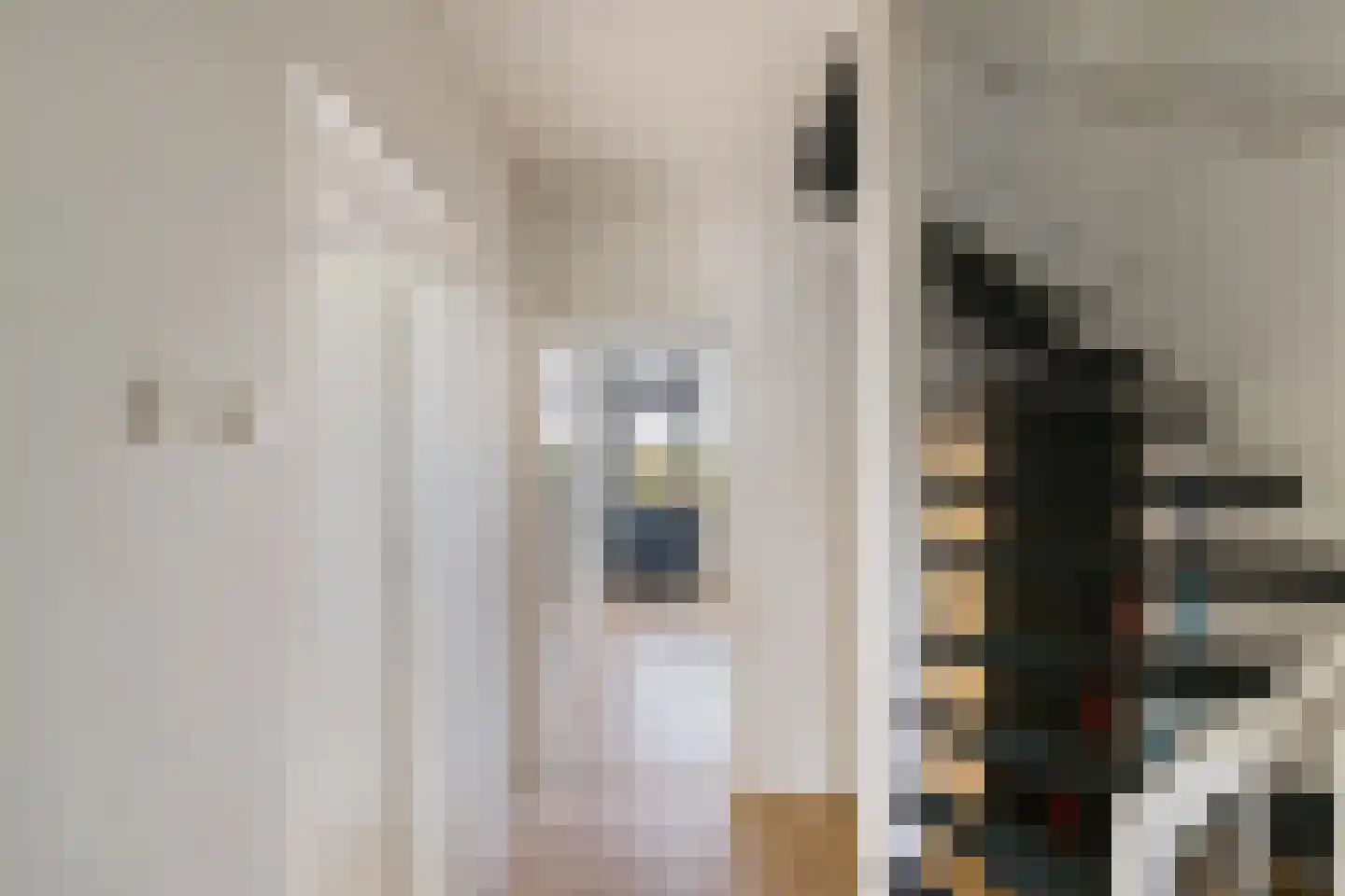 Amethiststraat 3 Groningen thumbnail 10