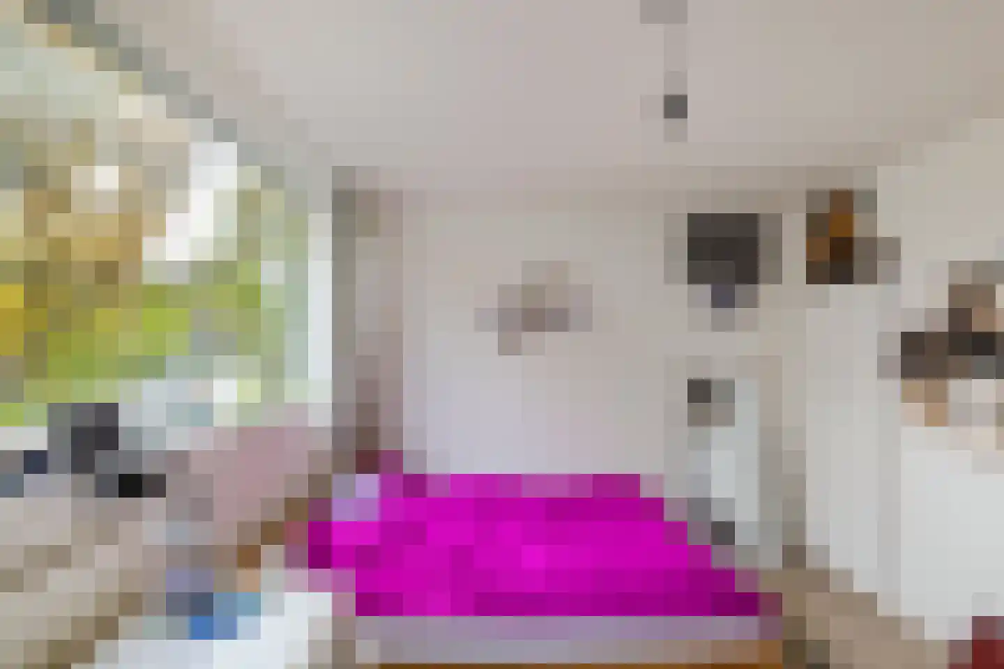 Amethiststraat 3 Groningen thumbnail 21