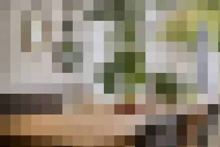 Amethiststraat 39 Groningen thumbnail 10