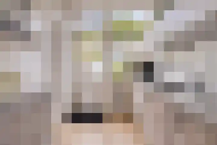 Amethiststraat 39 Groningen thumbnail 16