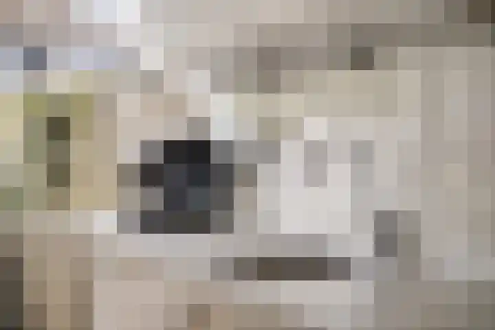 Amethiststraat 39 Groningen thumbnail 17