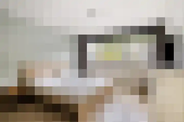 Amethiststraat 39 Groningen thumbnail 20