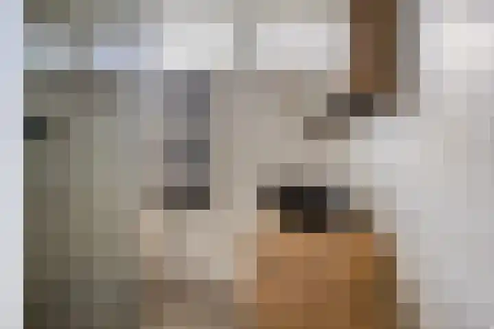Amethiststraat 39 Groningen thumbnail 22