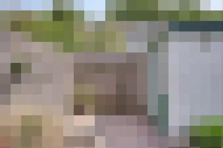 Amethiststraat 39 Groningen thumbnail 36