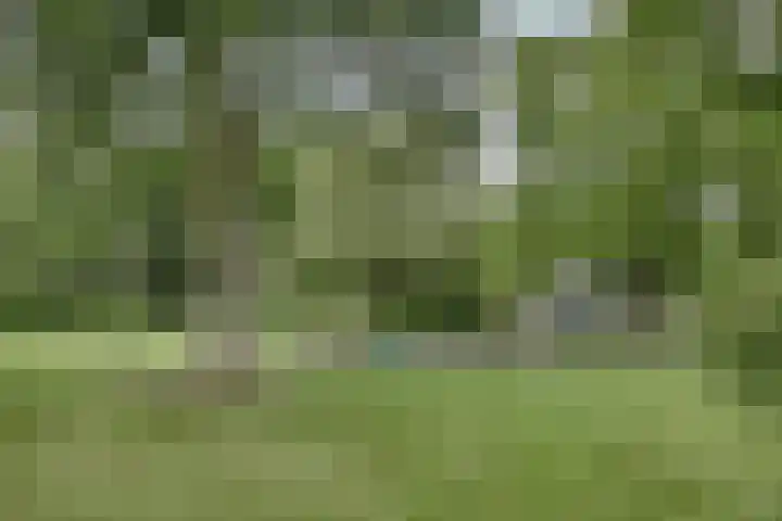 Amethiststraat 39 Groningen thumbnail 39