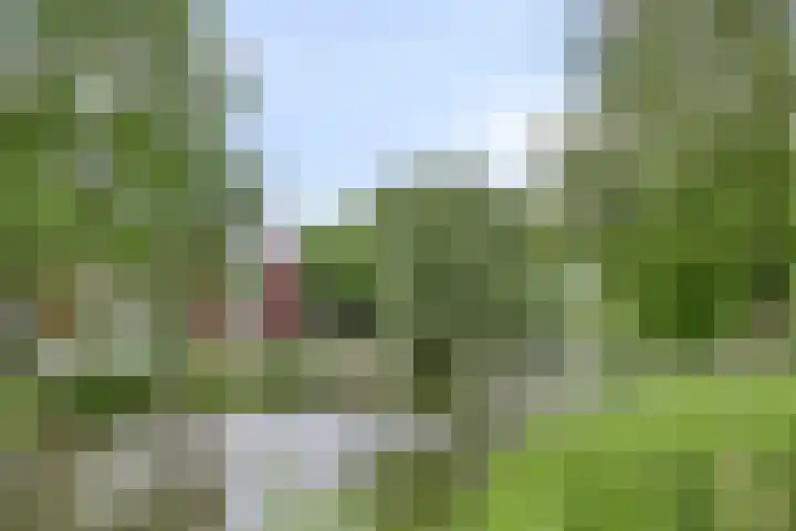 Amethiststraat 39 Groningen thumbnail 41