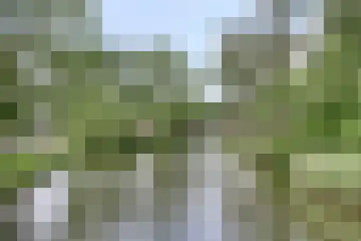 Amethiststraat 39 Groningen thumbnail 43