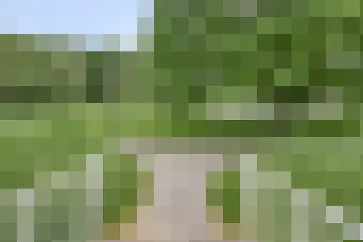 Amethiststraat 39 Groningen thumbnail 44
