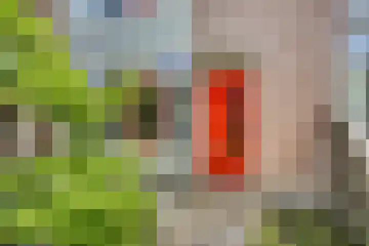 Amethiststraat 39 Groningen thumbnail 5