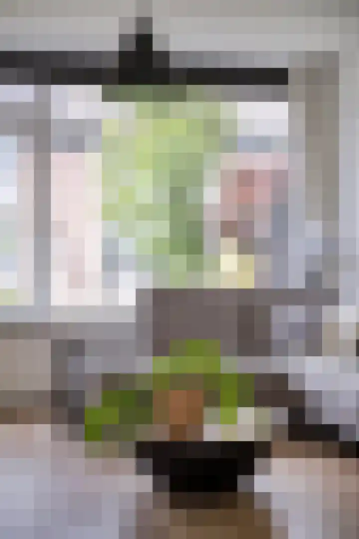 Amethiststraat 39 Groningen thumbnail 8
