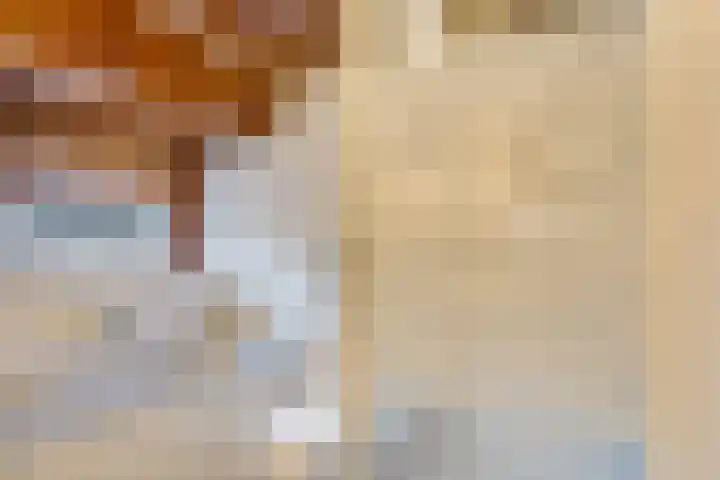 Amethiststraat 6 B Rotterdam thumbnail 36