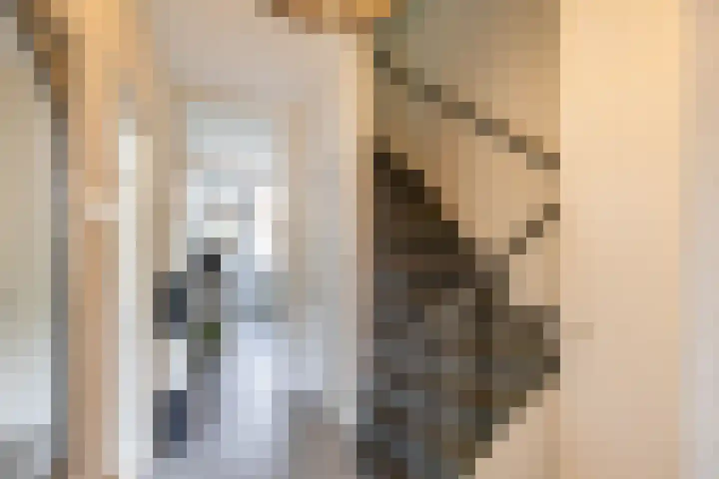 Amethiststraat 91 Groningen thumbnail 11