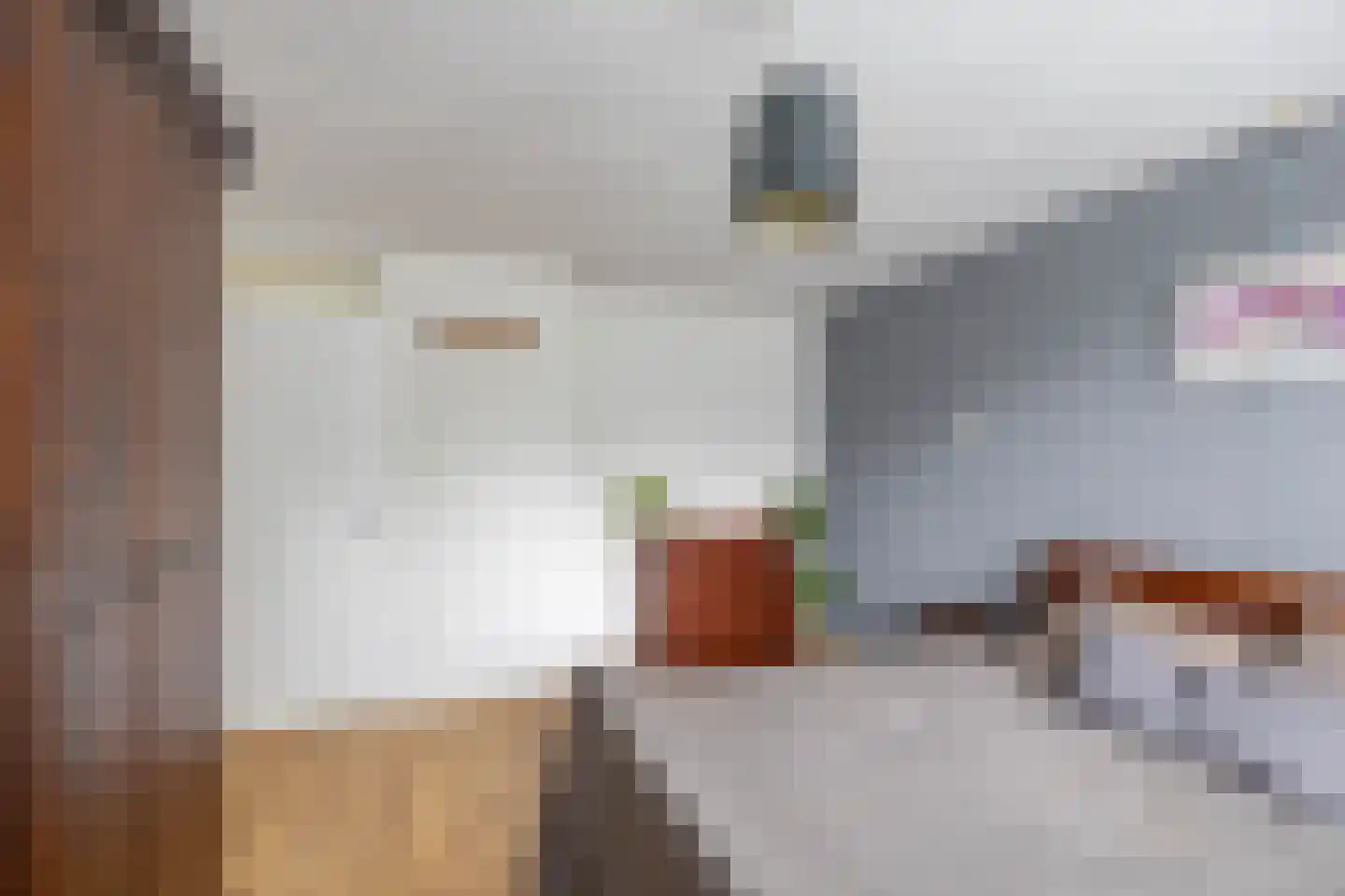 Amethiststraat 91 Groningen thumbnail 27