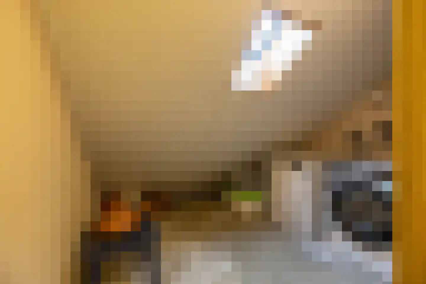 Amethiststraat 91 Groningen thumbnail 36