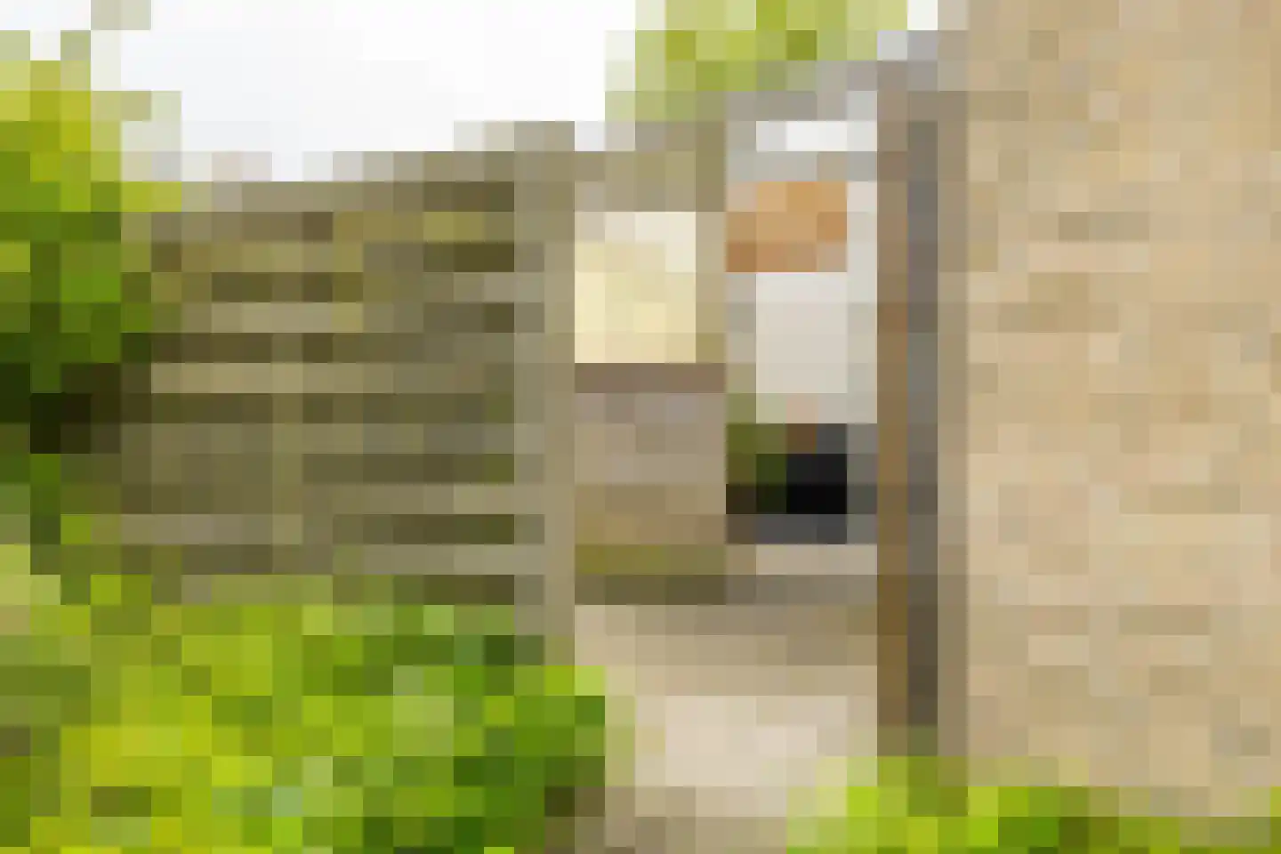 Amethiststraat 91 Groningen thumbnail 42