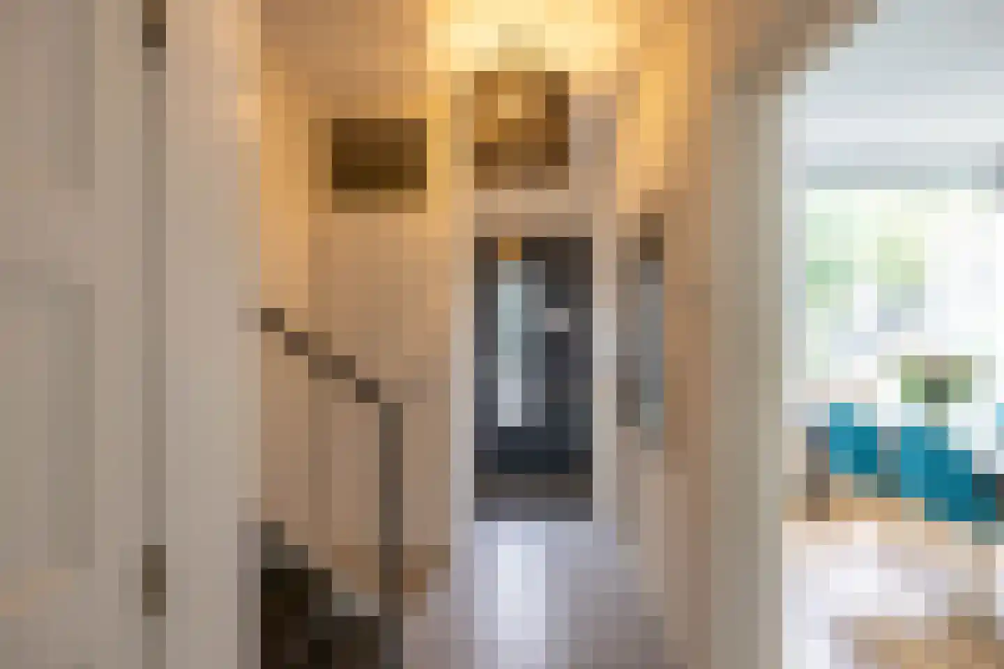 Amethiststraat 91 Groningen thumbnail 9