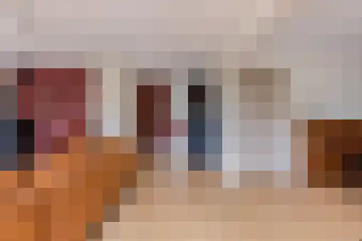 Amethyst 2 Hoorn thumbnail 14
